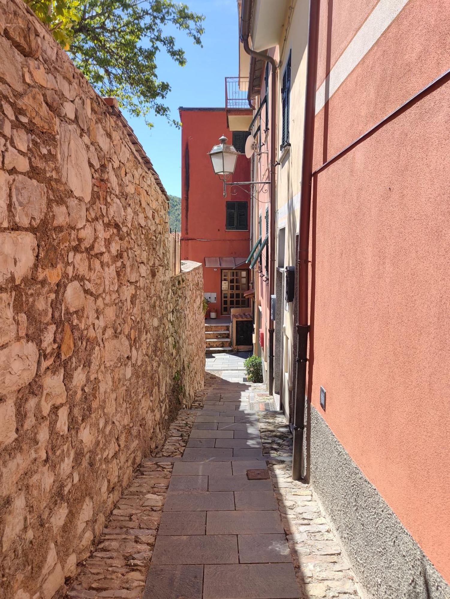 Tra Le Cinque Terre, Camogli E Portofino Con Scorcio Mare All'orizzonte