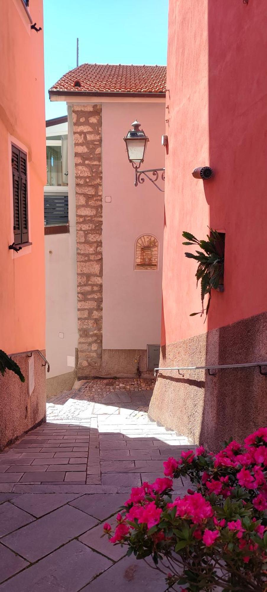 Tra Le Cinque Terre, Camogli E Portofino Con Scorcio Mare All'orizzonte